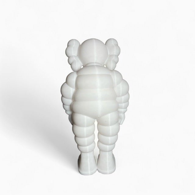 KAWS what party?