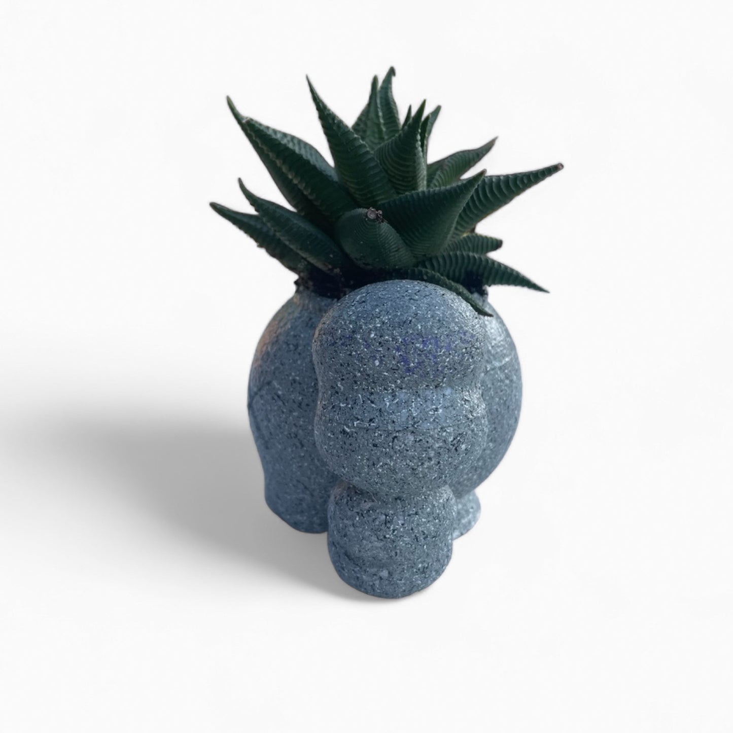 Kaws planter