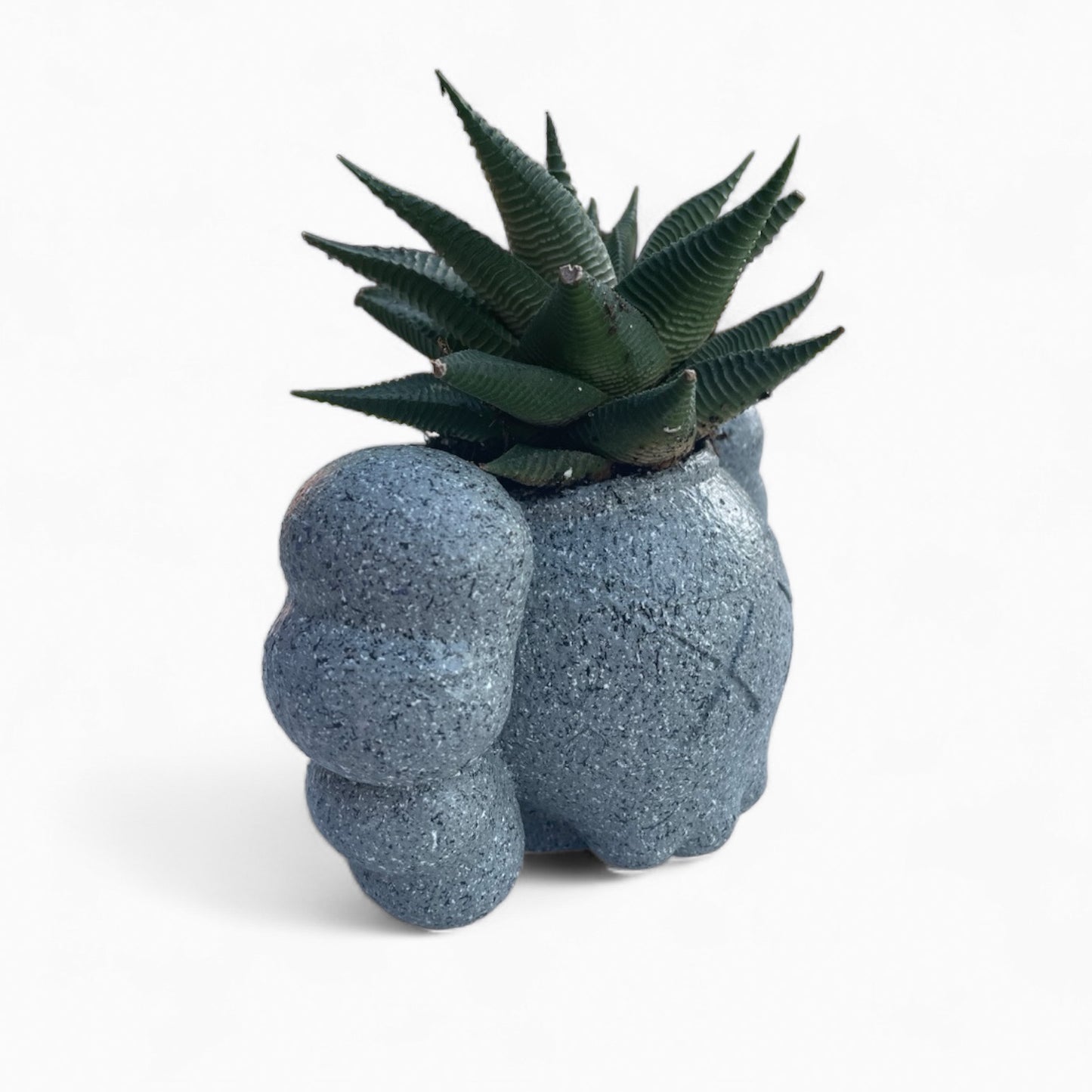 Kaws planter