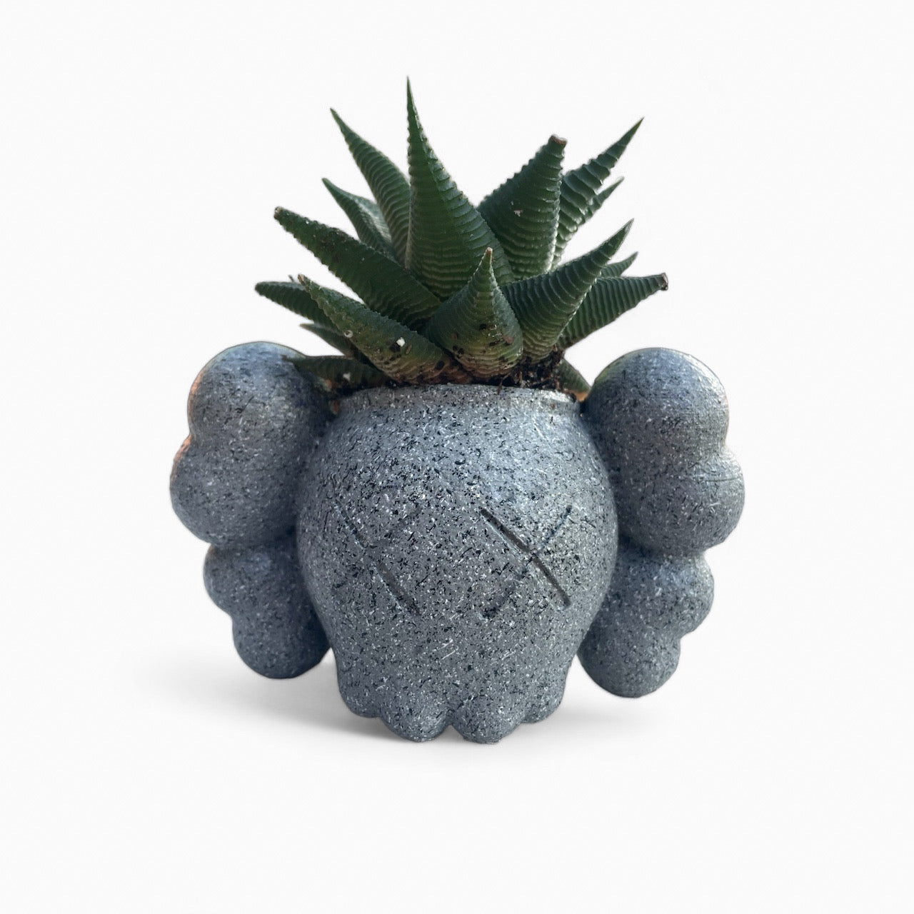 Kaws planter