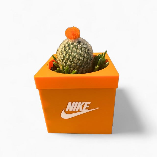 Nike Shoe Box Planter Pot